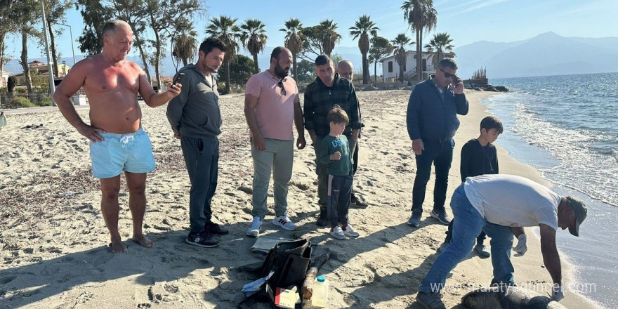 Kuşadası’nda 2 deniz kaplumbağası ölü olarak karaya vurdu