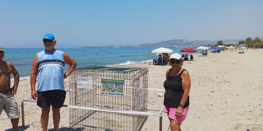 Kuşadası’nda caretta yuvaları çoğalıyor