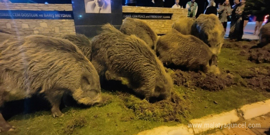 Kuşadası’nda merkeze yaban domuzları indi, o anlar kameraya yansıdı