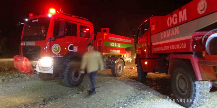 Kütahya - Bursa sınırında çıkan orman yangını söndürüldü