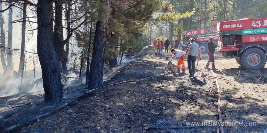 Kütahya’da anız yangını ormana sıçradı