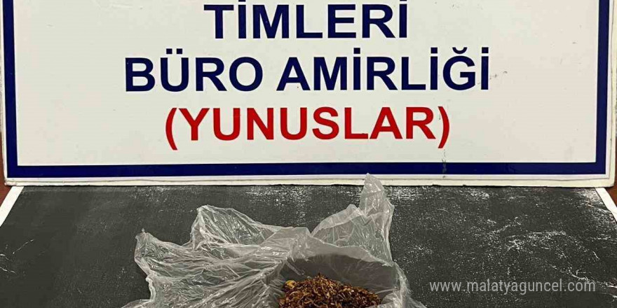 Kütahya’da Yunus Timleri şahsın üzerinde bonzai ele geçirdi