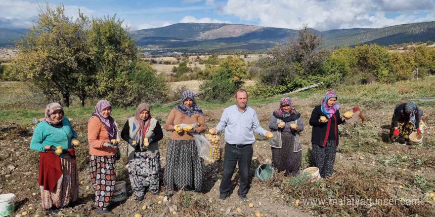 Kütahyalı çiftçiler arpa, buğday yerine daha kârlı olan patates üretimine yöneldi