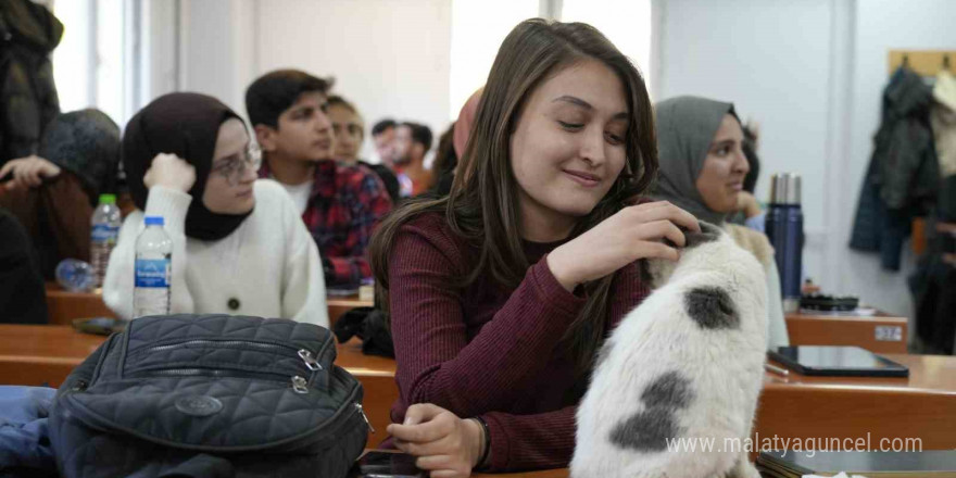 ‘Labne’ fakültede öğrencilerle derslere giriyor