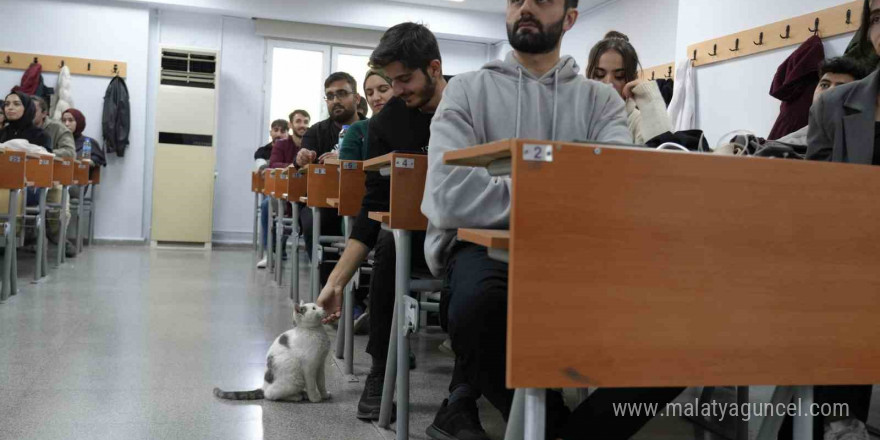 ‘Labne’ fakültede öğrencilerle derslere giriyor