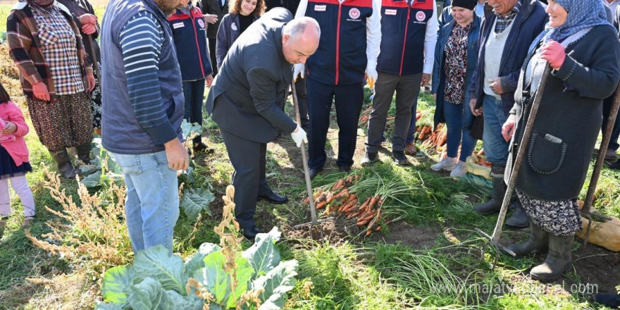 Lezzetiyle meşhur Çakır havucunda hasat başladı