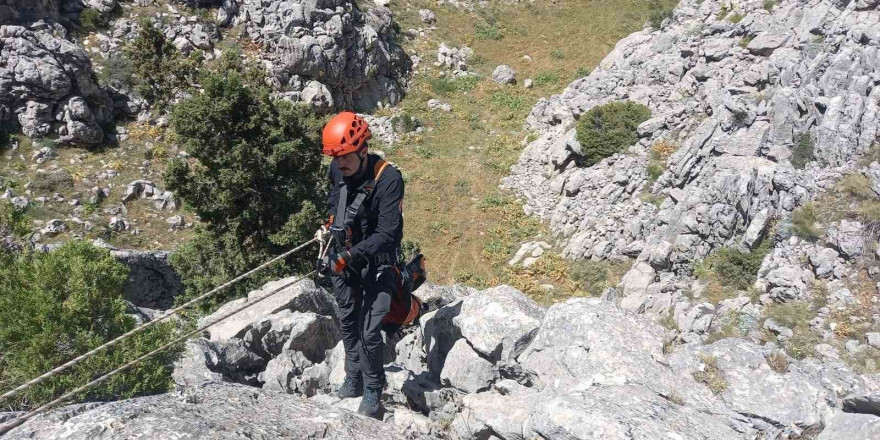 Mahsur kalan küçükbaş hayvanlar kurtarıldı