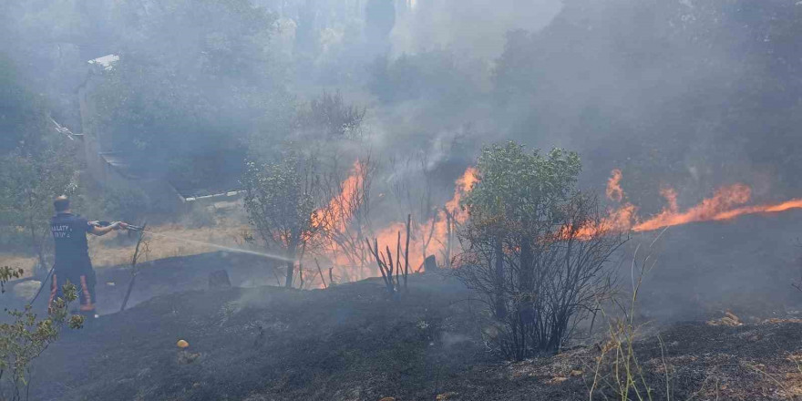 Malatya’da bahçelik alanda korkutan yangın
