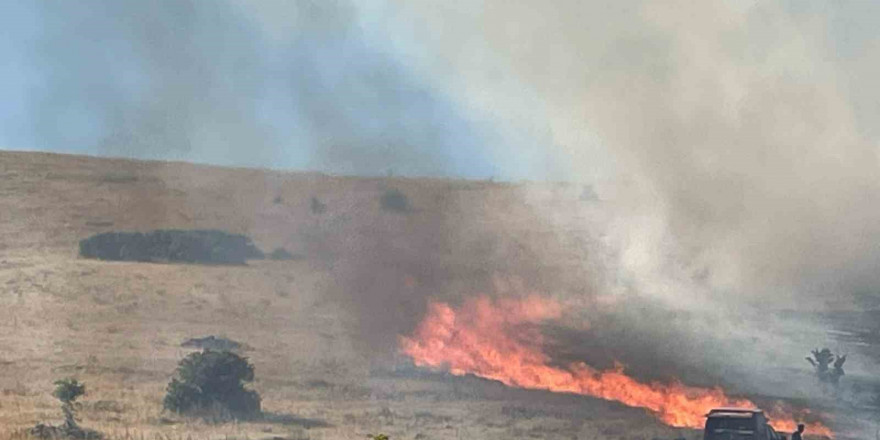 Malatya’da bir hektarlık alanda anız yangını