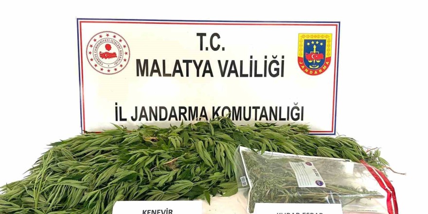 Malatya’da Jandarmadan uyuşturucu operasyonu