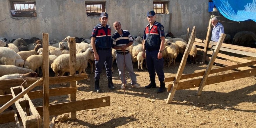 Malatya’da kayıp koyunları jandarma buldu