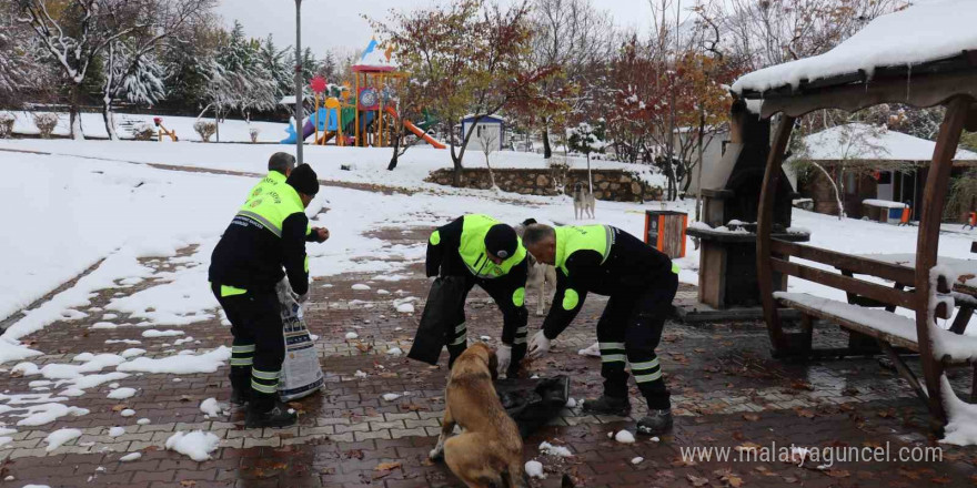 Malatya’da kış şartlarında sokak ve yaban hayvanları unutulmadı