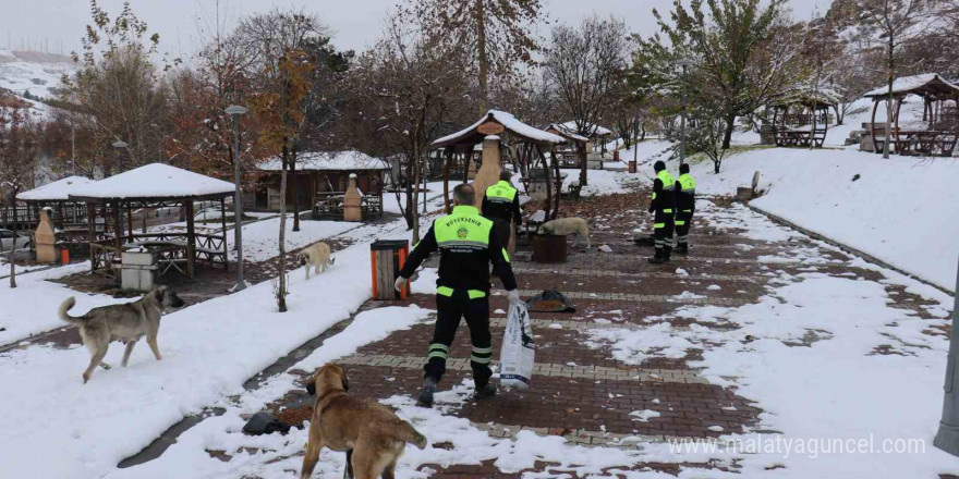 Malatya’da kış şartlarında sokak ve yaban hayvanları unutulmadı