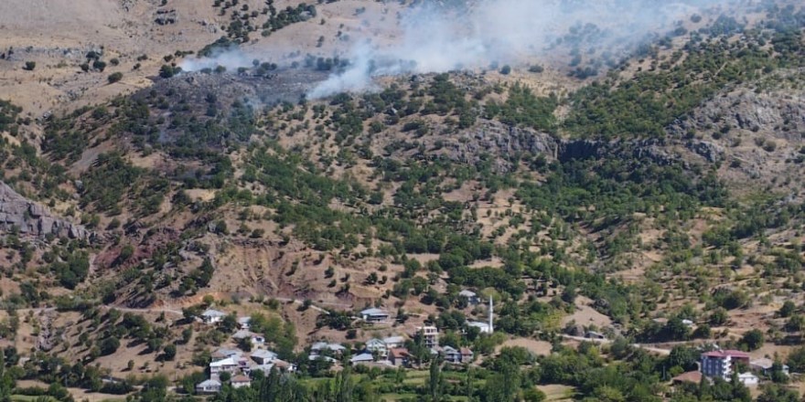 Malatya’da orman yangını, 1 yaralı