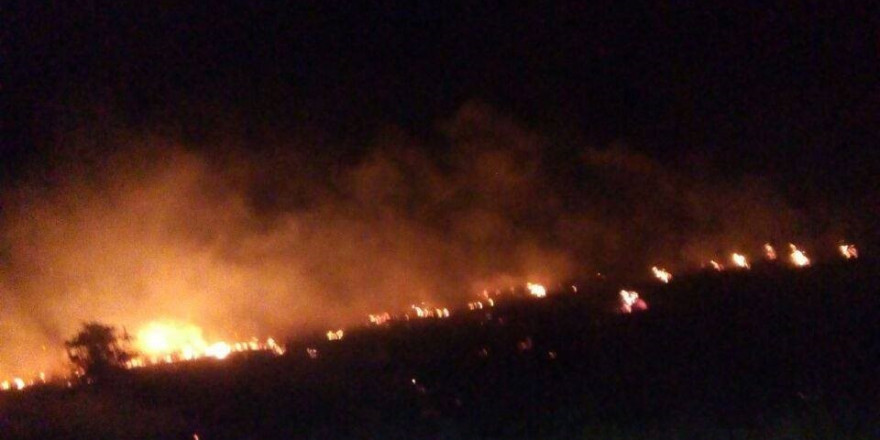 Malatya’da orman yangını