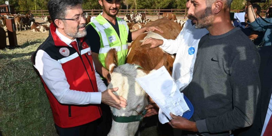 Malatyalı depremzedelere büyükbaş hayvan desteği