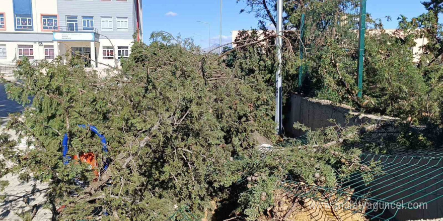 Manavgat’da şiddetli fırtına ve rüzgar ağaçları yıktı, okula zarar verdi