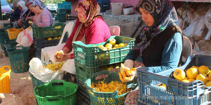 Manisa’da şifa kaynağı cennet hurmasına talep artıyor