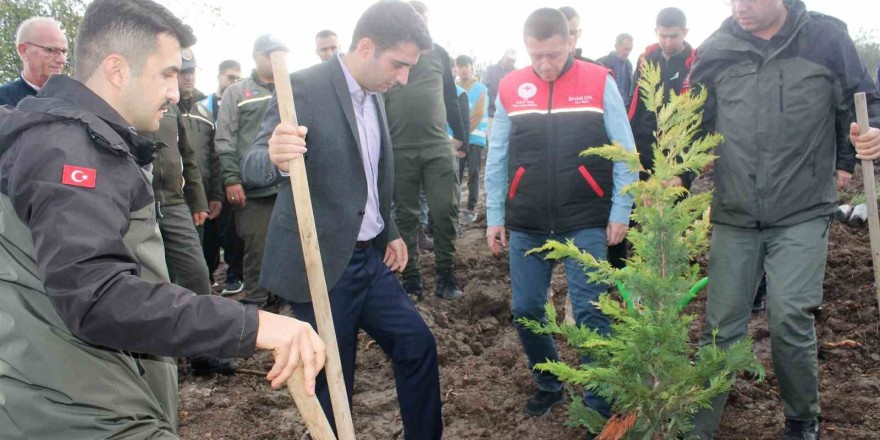 Manyas ilçesinde fidanlar toprakla buluştu