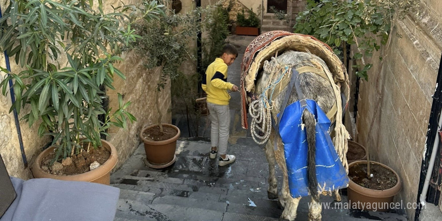 Mardin’de kadrolu eşeklerin zorlu mesaisi