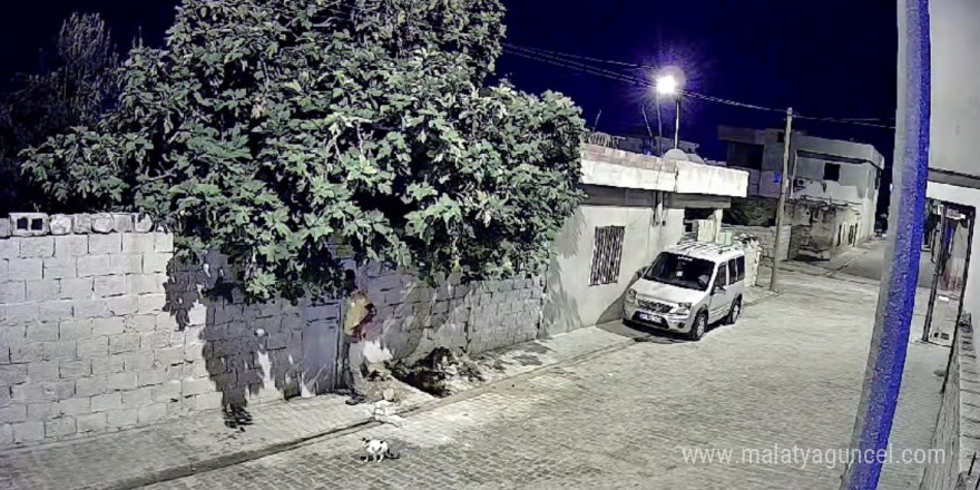 Mardin’de tavuk hırsızlığı güvenlik kamerasına yansıdı