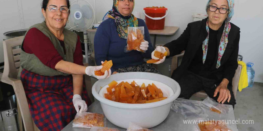 Mari’nin bal kabakları depremzede kadınlara umut oldu