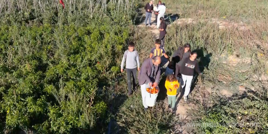 Markette sebzeleri pahalı bulan vatandaşlar soluğu tarlalarda aldı