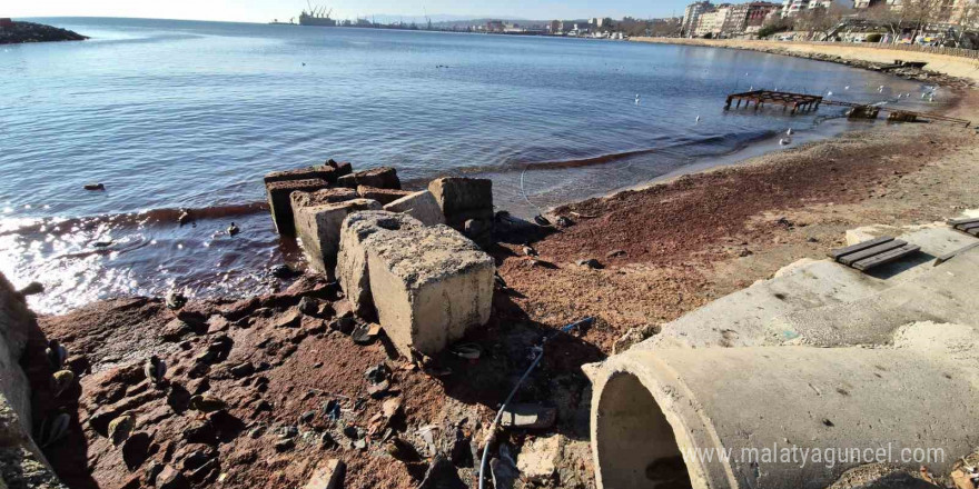 Marmara Denizi’nde lodos sonrası kıyılara kızıl yosun vurdu