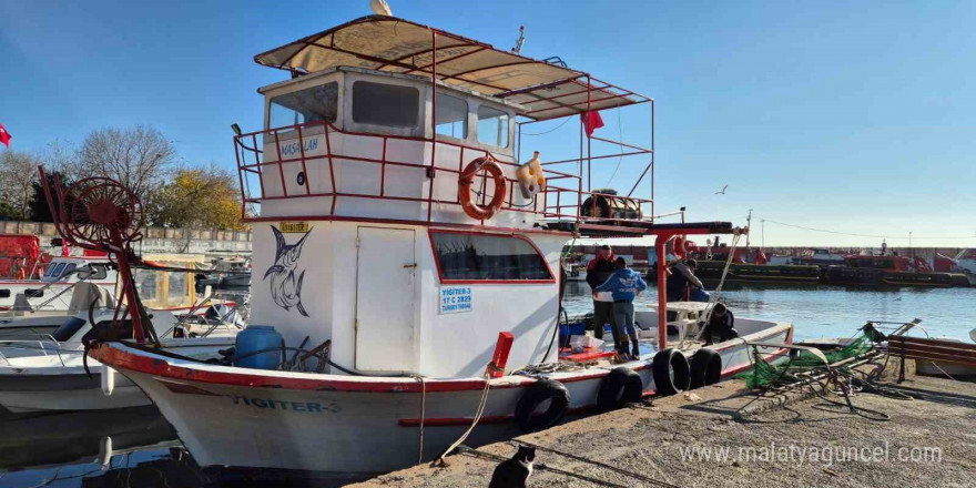 Marmara’da balıkçılar farklı balık türü ile dönüyor