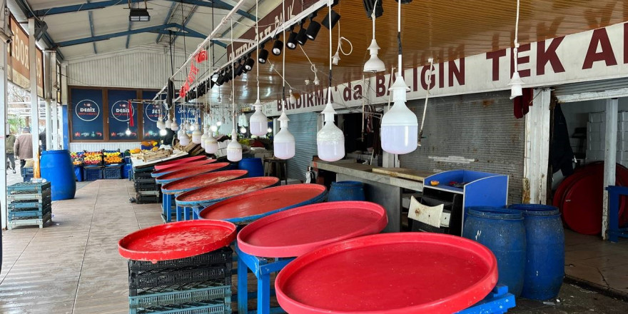 Marmara’da hava bozdu, balık fiyatları fırladı