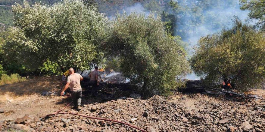 Marmaris’teki orman yangını büyümeden söndürüldü