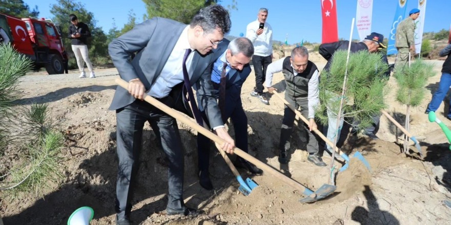 Mehmetçik Hatıra Ormanı’nda binlerce fidan toprakla buluştu