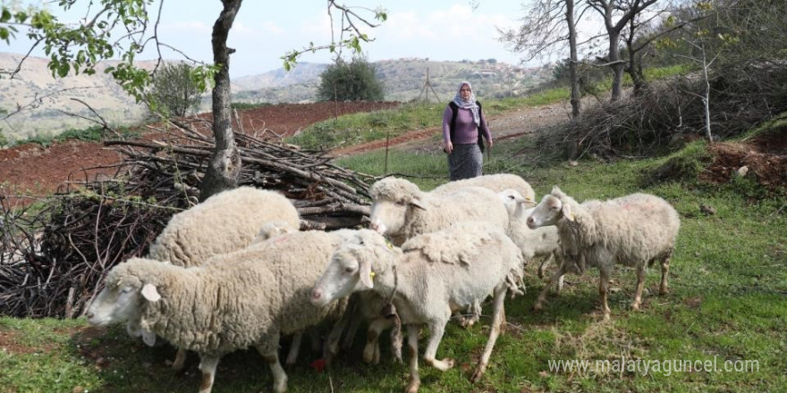 Merkezefendi Belediyesinin yem desteği devam ediyor