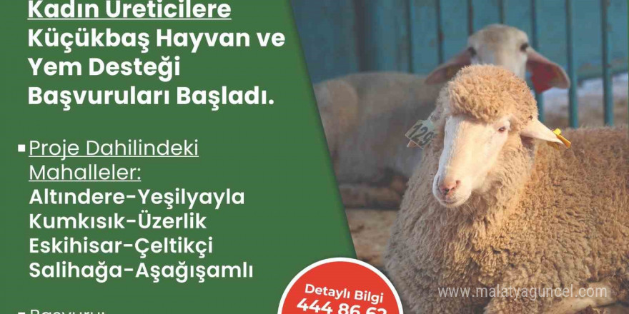 Merkezefendi Belediyesinin yem desteği devam ediyor