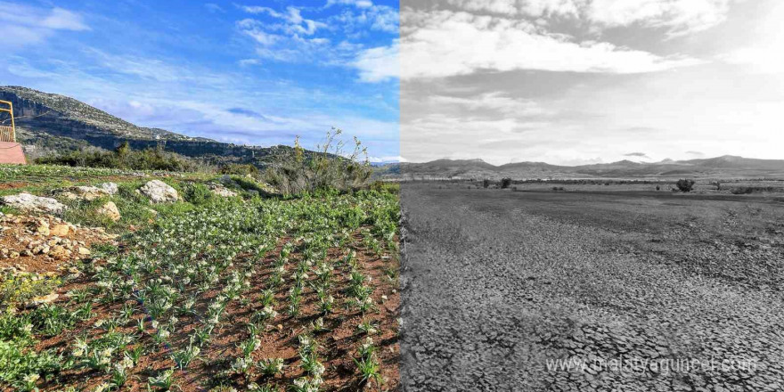 ’Mersin Sürdürülebilir Enerji ve İklim Eylem Planı’ hazırlandı