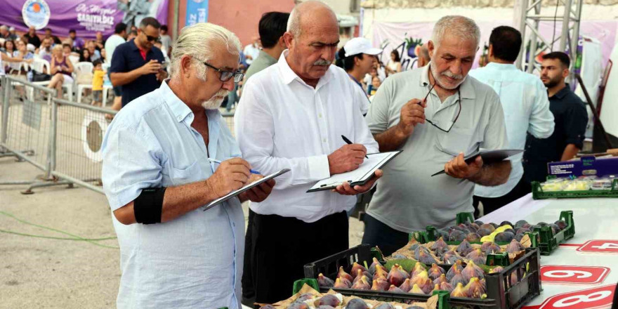 Mersin’de ’Bağlarbaşı İncir Festivali’ düzenlendi