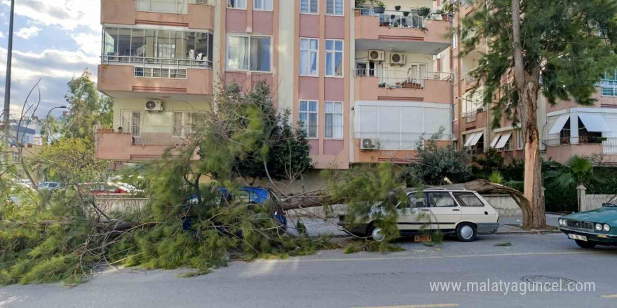 Mersin’de fırtına ağaçlar devrildi, araçlar zarar gördü camlar kırıldı