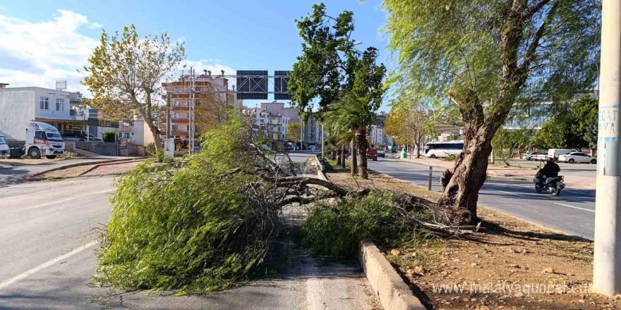 Mersin’de fırtına ağaçlar devrildi, araçlar zarar gördü camlar kırıldı