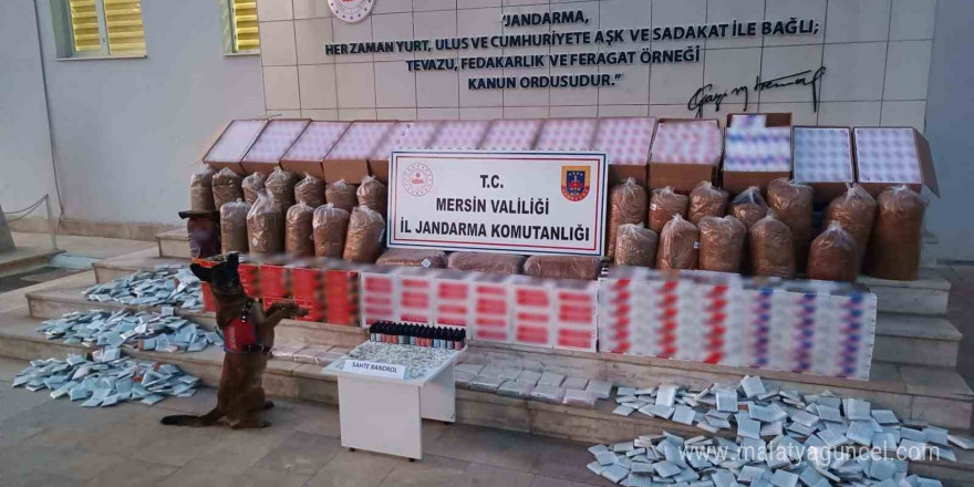 Mersin’de kaçakçılıkla mücadele, 208 bin adet makaron ele geçirildi