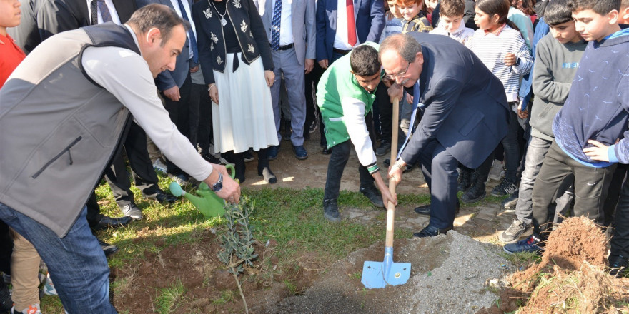 Mersin’de okul bahçelerine 600 zeytin fidanı dikildi