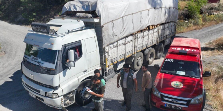 Mersin’de orman kaçakçılığına yönelik denetim yapıldı