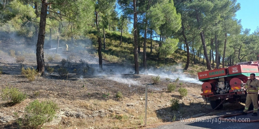 Mersin’de vadide çıkan orman yangını, büyümeden söndürüldü