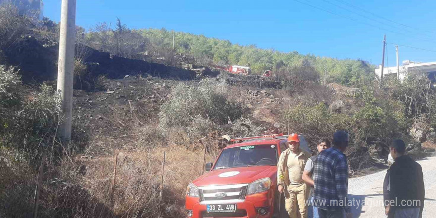 Mersin’de zeytinlik alanda yangın