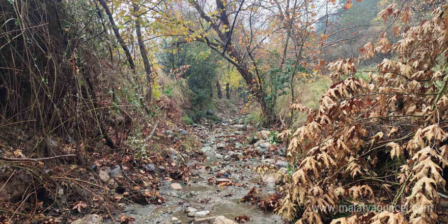 Mesir Tabiat Parkında eşsiz manzaralar