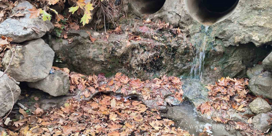 Mesir Tabiat Parkında eşsiz manzaralar