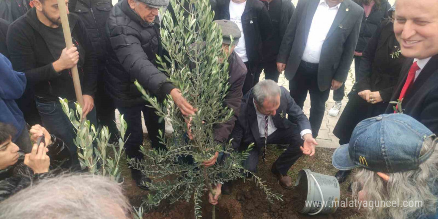 Meslek lisesinin 63. yaşında 63 adet zeytin ağacı sonsuzluğa kök saldı