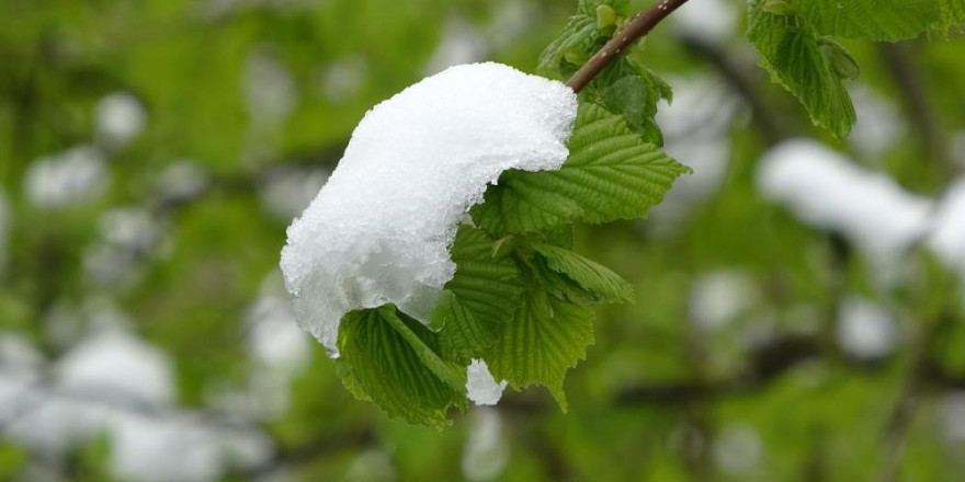 Meteoroloji’den 'zirai don' uyarısı