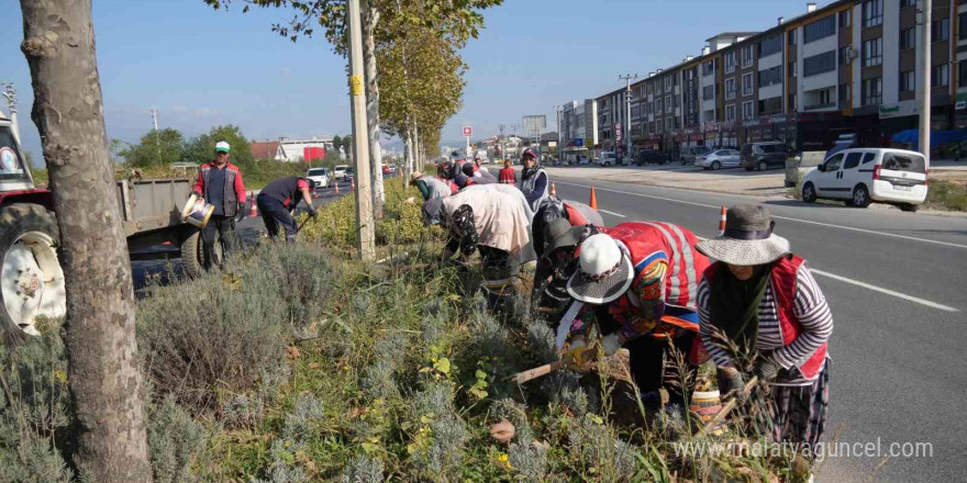 Mevsime uygun bakım çalışmaları yapılıyor