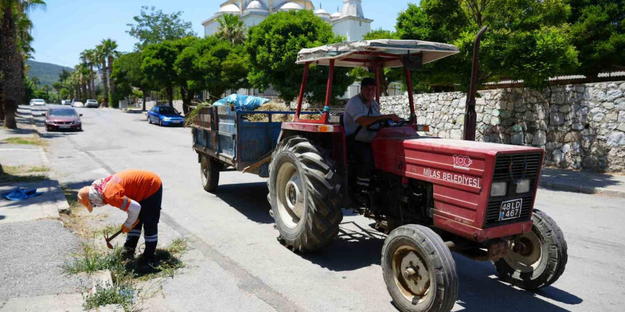 Milas Belediyesi ekipleri temizlik çalışmalarına devam ediyor