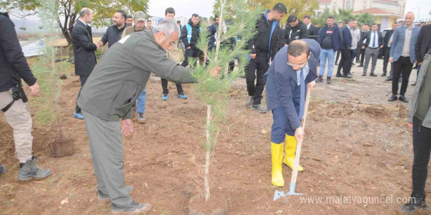 Milli Ağaçlandırma Günü’nde Cizre’de fidanlar toprakla buluştu